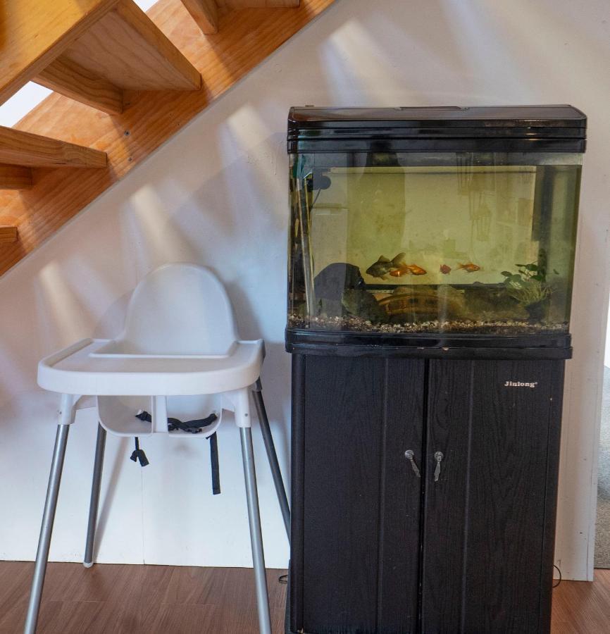 카이코라 Waikoura Springs B&B 외부 사진