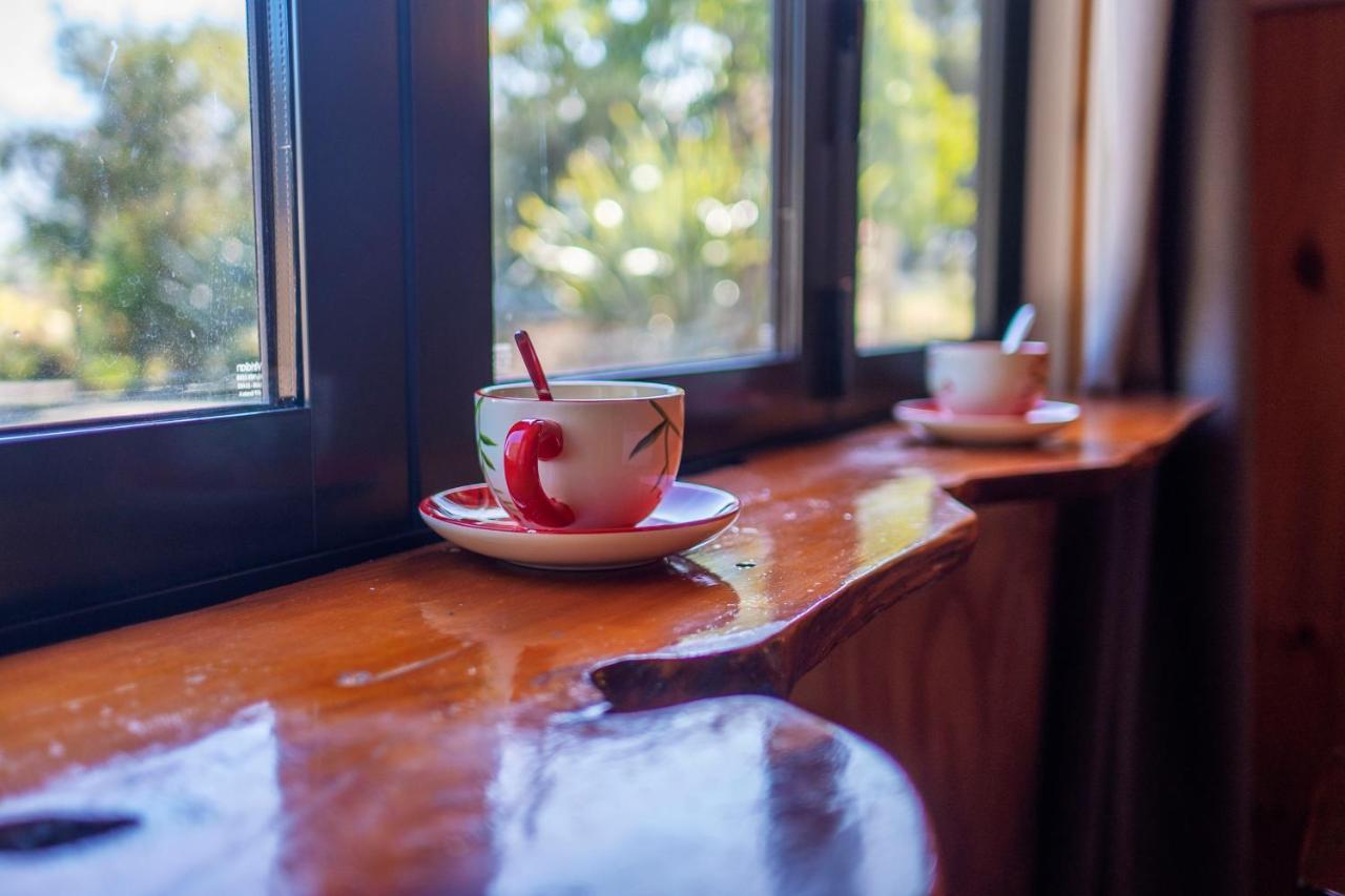 카이코라 Waikoura Springs B&B 외부 사진